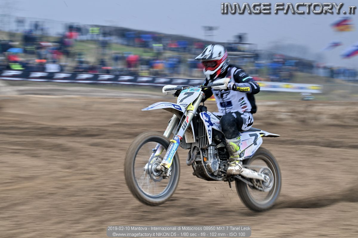 2019-02-10 Mantova - Internazionali di Motocross 08950 MX1 7 Tanel Leok